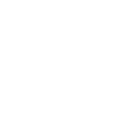 brillo-solar